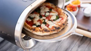 ¿Es la freidora de aire Mini Forno OEM adecuada para usted?