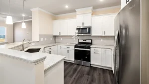 HOME插图19 HOME插图19