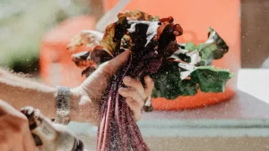 HOME插图20 HOME插图20